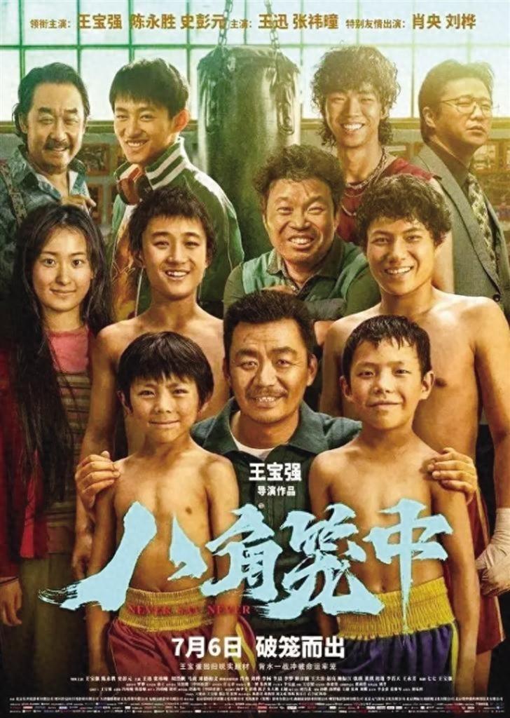 王宝强被举报涉嫌欺诈，八角笼中票房分成引争议，真相究竟如何？