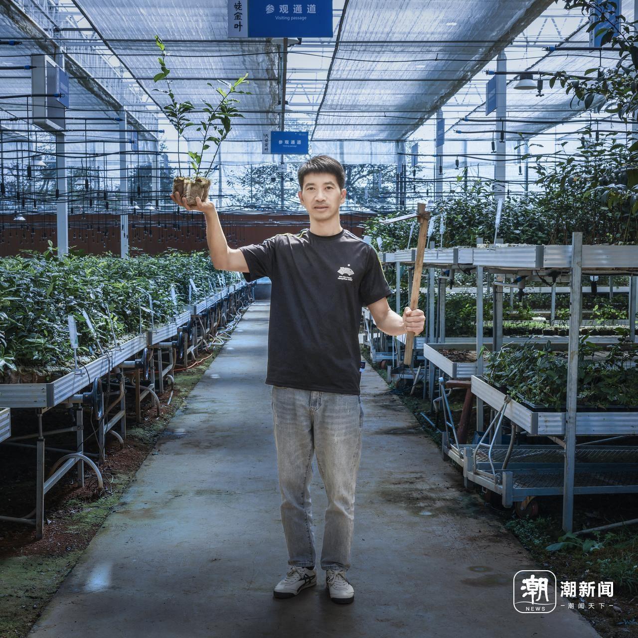 星光不问赶路人，新昌追梦人如何书写共富传奇？  第7张