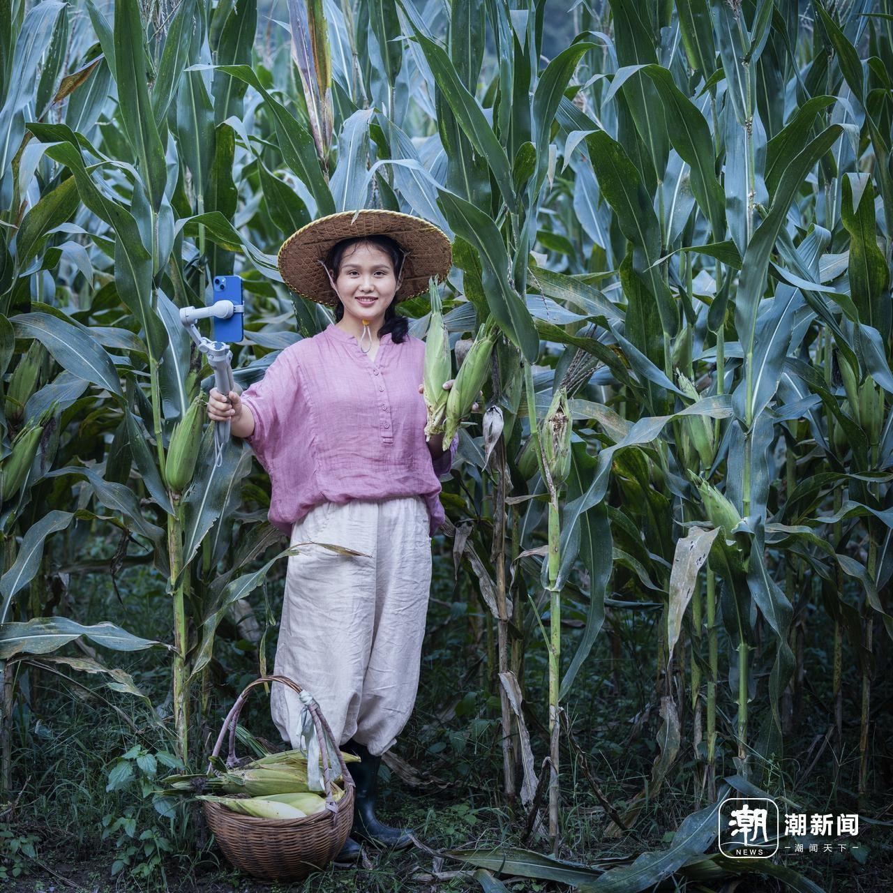 星光不问赶路人，新昌追梦人如何书写共富传奇？  第9张