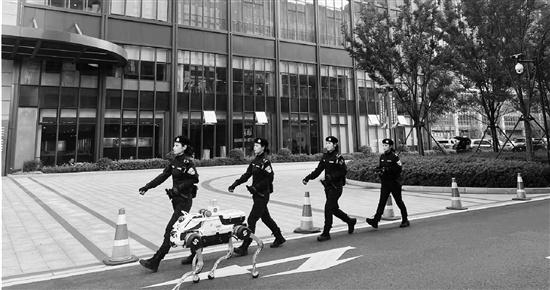 杭州街头惊现神秘新成员，竟是警队黑科技智能机器狗  第2张