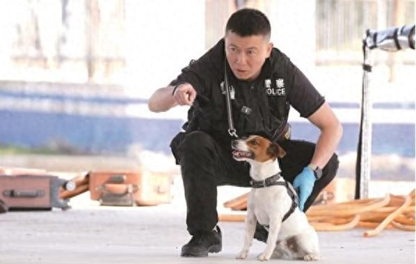 仅用 30 秒，这只太仓犬是如何成为全国警犬技术比赛的佼佼者的？