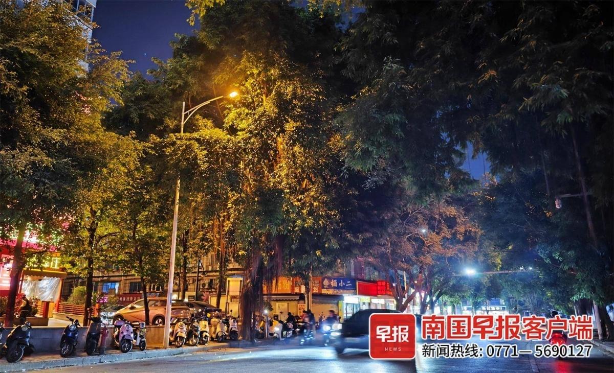 南宁望园路路灯大变身！亮度提升 3 倍以上，市民出行更安全  第2张