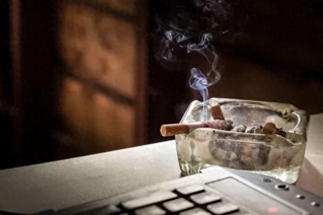 饭后五不急，做对了健康加分，做错了后果不堪设想