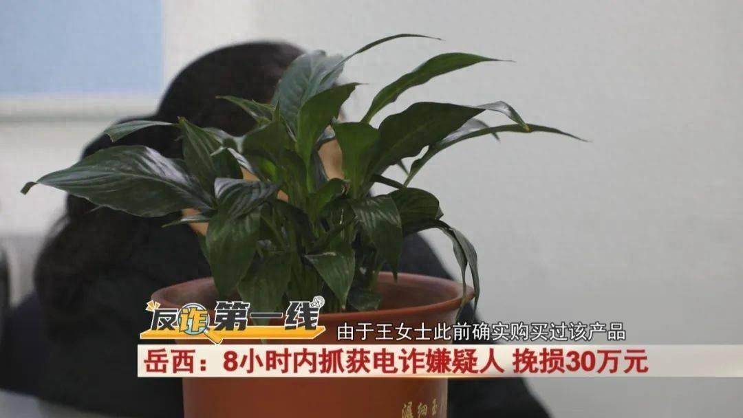 岳西王女士轻信减肥退款电话，被骗十余万