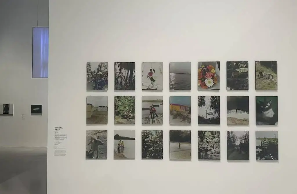 前卫摄影展震撼来袭！近 200 件作品带你领略 1970-2000 年的艺术魅力  第5张