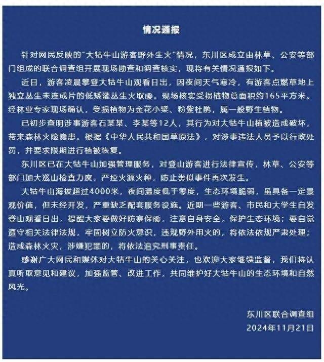 12 名游客野外生火，大牯牛山植被惨遭破坏  第1张