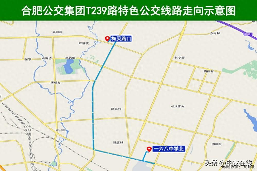 新开 T239 特色线路，学生上学放学更方便  第1张