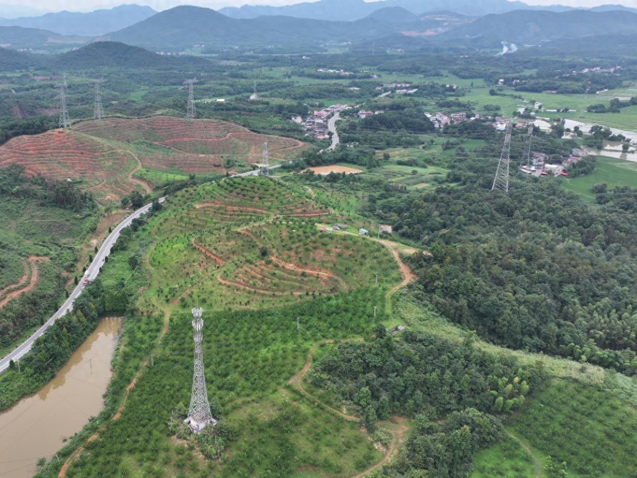 从荒芜荒山到绚烂花海，东至县这个家庭农场如何实现华丽蜕变？