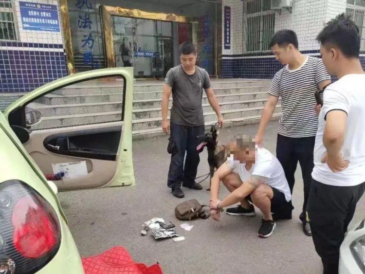 7 岁缉毒犬刀锋病逝，从警生涯破案 28 起，查获毒品近 8 公斤  第3张