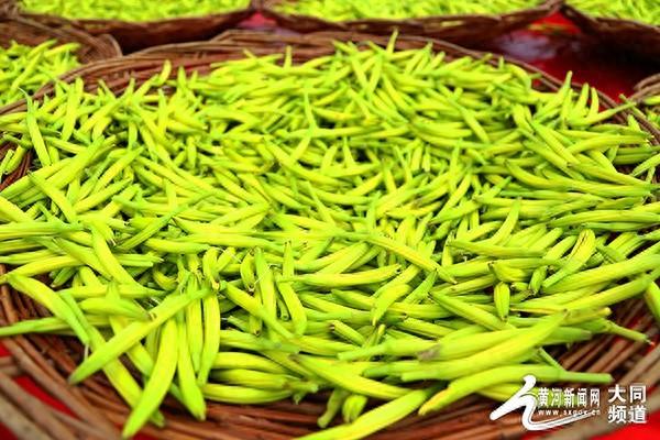 大同市市场监督管理局大力培育地理标志产业，助推区域经济高质量发展  第1张