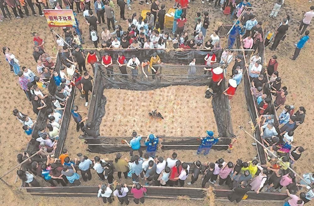 2024 福建省运动健身进万家系列赛事活动在永定举行，3 万人共庆丰收  第1张