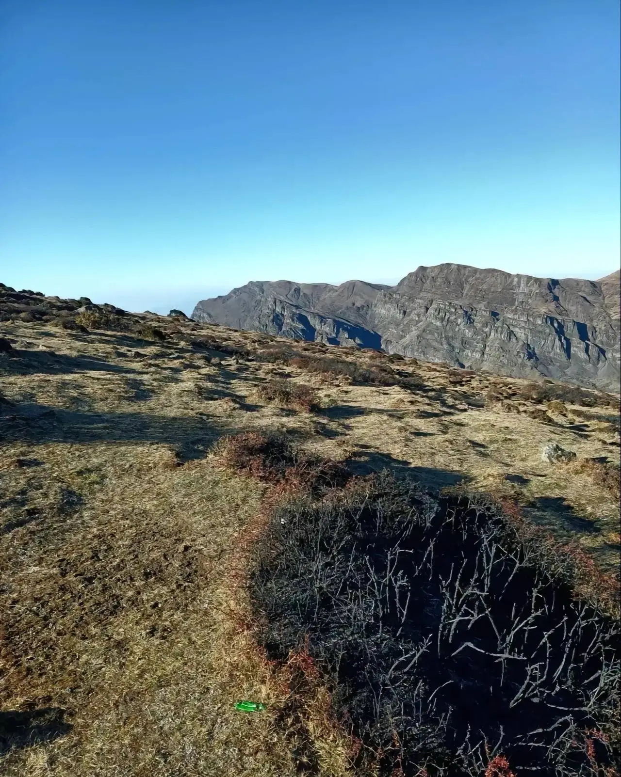 游客夜爬大牯牛山纵火烧山，165 平方米植被受损，处罚却过轻？