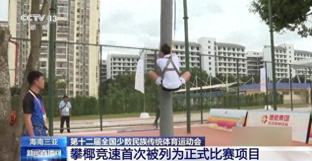 攀椰竞速：几秒钟登顶椰树之巅，你敢来挑战吗？