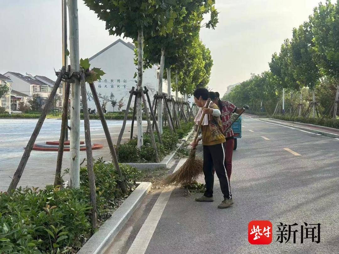 灌云县图河镇全力打造宜居宜业和美乡村，你还不来看看？  第2张
