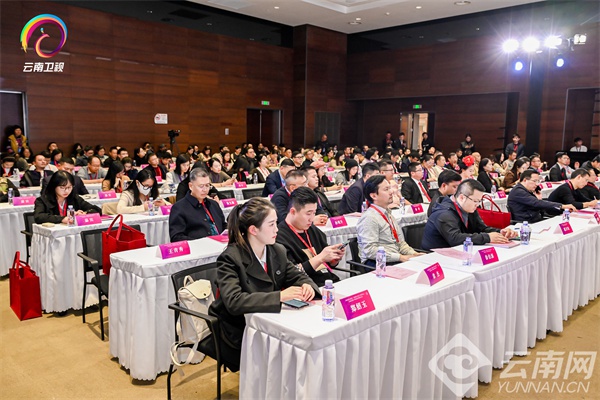 投资超 420 亿！云南文化产业招商引资推介会在沪成功举行，你还在等什么？  第2张