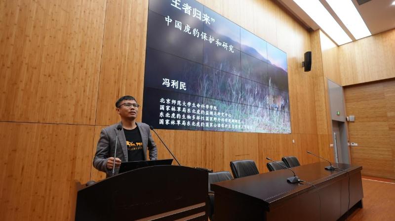 从销声匿迹到王者归来，野生东北虎种群的发展历程是怎样的？  第3张