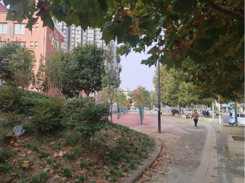 楼顶消防通道被占？漯河双违治理办出手了  第2张