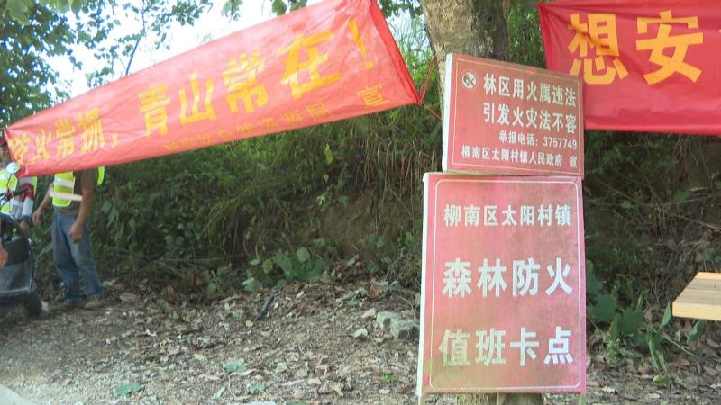 柳南区太阳村镇四合村护林队：守护 5 平方公里森林，他们是这样做的  第2张