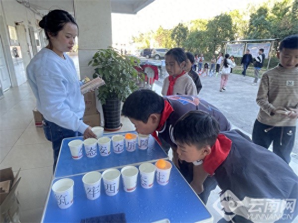 你知道鸟在哪里睡觉吗？昆明山村学生的别样自然课
