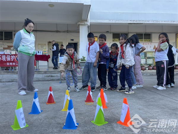 你知道鸟在哪里睡觉吗？昆明山村学生的别样自然课  第3张