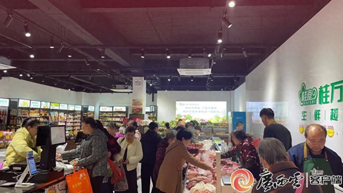 探秘桂林市食品公司：如何在挑战中保障食品安全，实现营收净利润双增长？