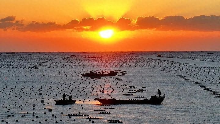 山东半岛：从荒凉到美丽，海洋蓝与生态绿的奇迹交织  第1张