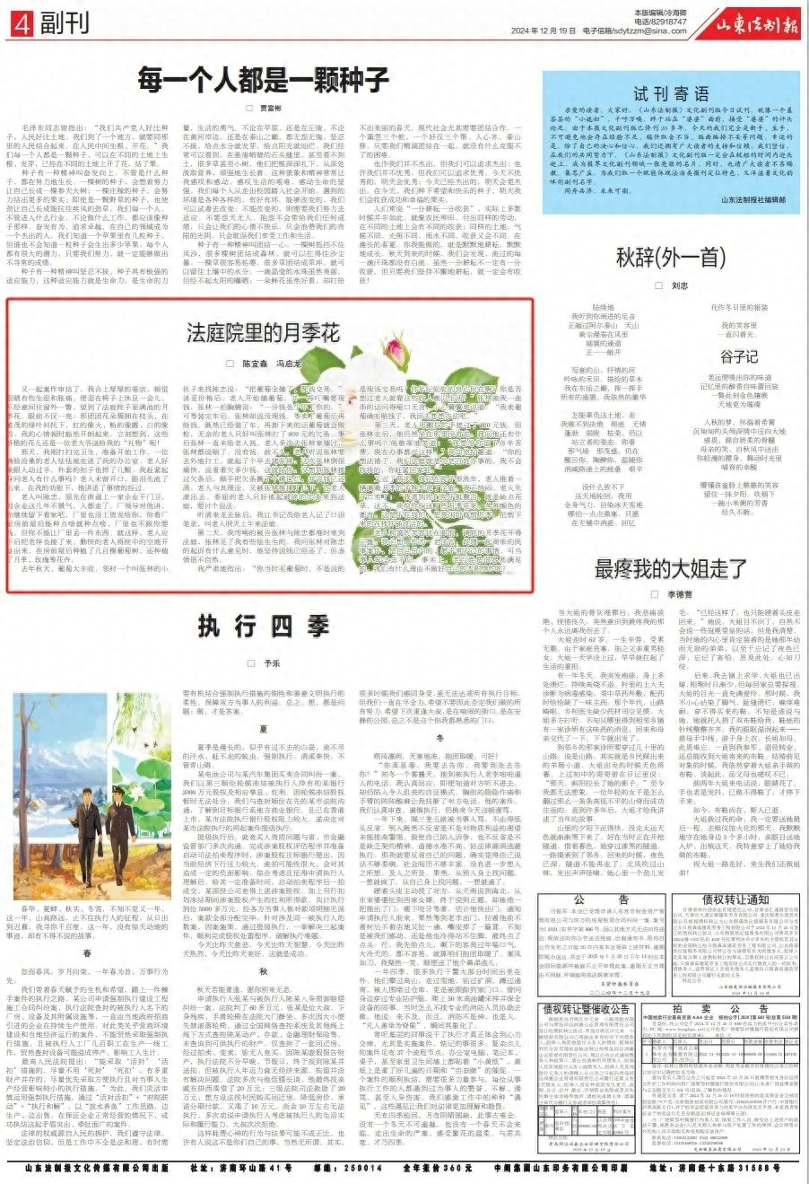 法庭院子里的月季花，竟是这位沧桑老人的深情礼物  第1张