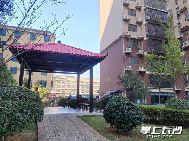 2024长沙文明楼道创建：居民幸福感飙升的秘密揭晓  第1张
