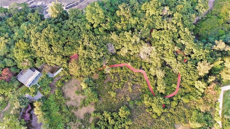 冬日大鹏徒步秘境：三条步道带你邂逅蓝色玻璃海与美人鱼拍摄地  第2张