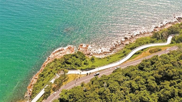 冬日大鹏徒步秘境：三条步道带你邂逅蓝色玻璃海与美人鱼拍摄地  第3张