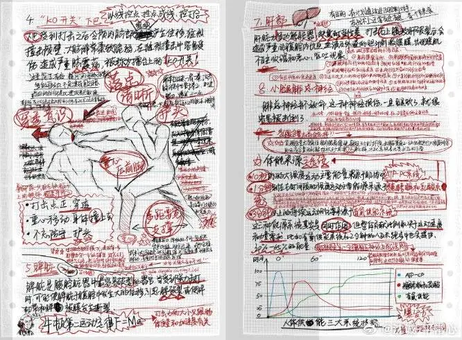 雄狮少年2：逆袭后的现实回归，梦想与生活的碰撞让人热泪盈眶  第8张