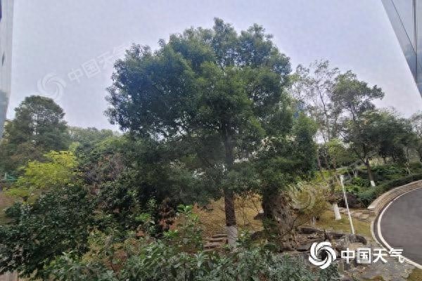 湖南未来三天最低气温不足5℃，早晚寒意逼人，如何保暖防感冒？  第1张