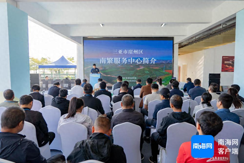 三亚崖州区打造南繁服务新体系,助力种业振兴行动,南繁硅谷建设加速推进 第1张 三亚崖州区打造南繁服务新体系,助力种业振兴行动,南繁硅谷建设加速推进 第1张