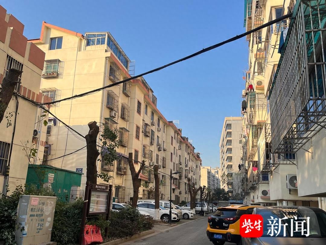 苏州小区树木修剪大行动：居民家中重见光明，冬天晒衣不再愁  第1张