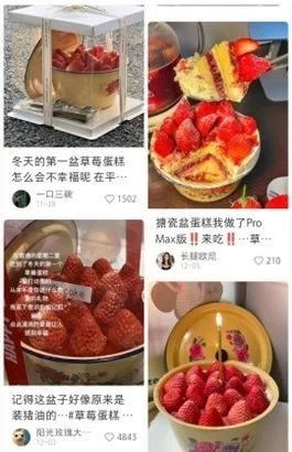 冬天吃草莓蛋糕新潮流：用盆装，颜值爆表，网友疯狂抢购  第4张