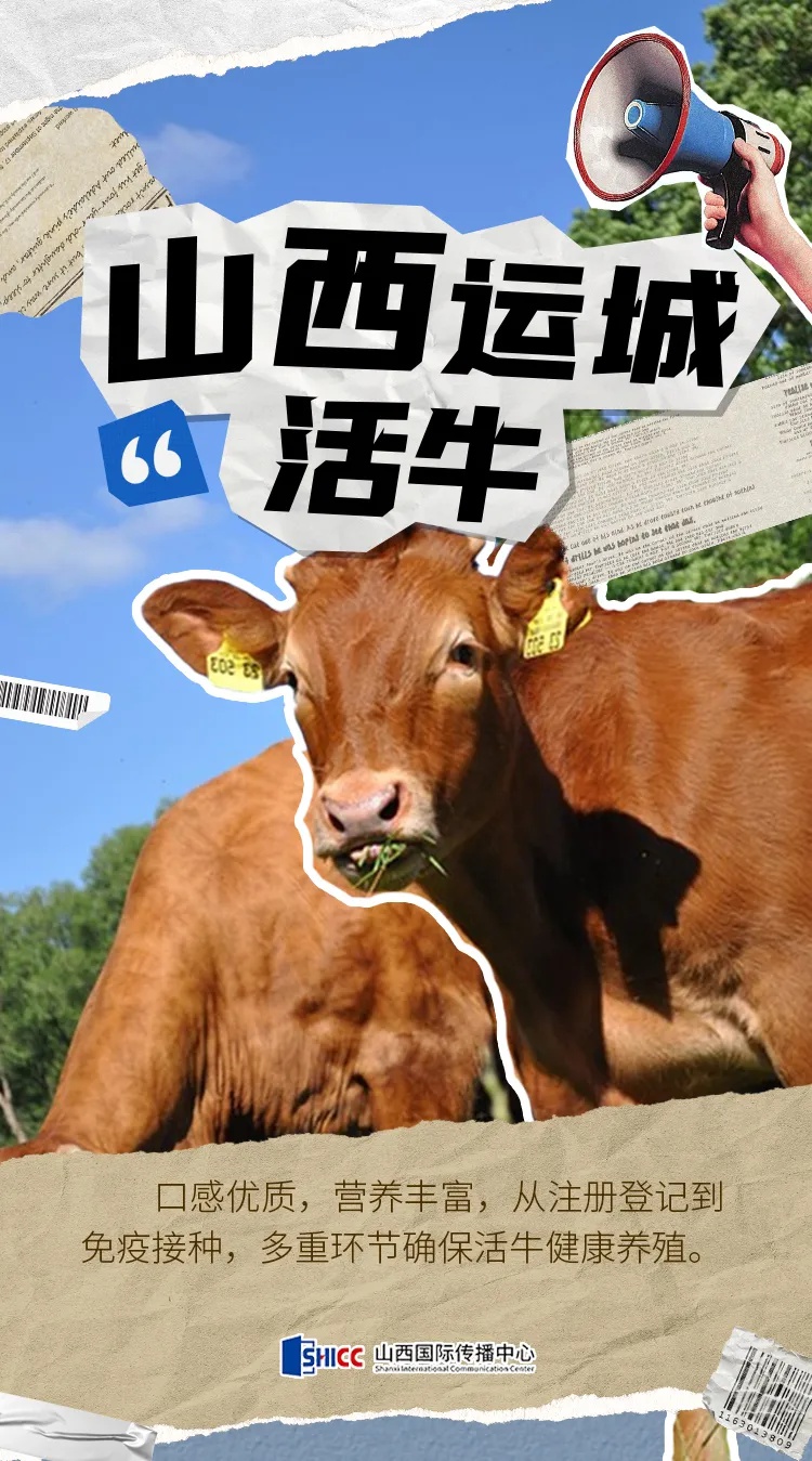 揭秘：山西好物如何通过澳门走向世界，一组海报带你深入了解  第3张