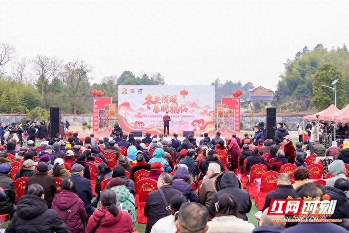 12月21日，宁乡花猪文化盛宴惊艳全场，全猪宴引爆味蕾狂欢  第1张