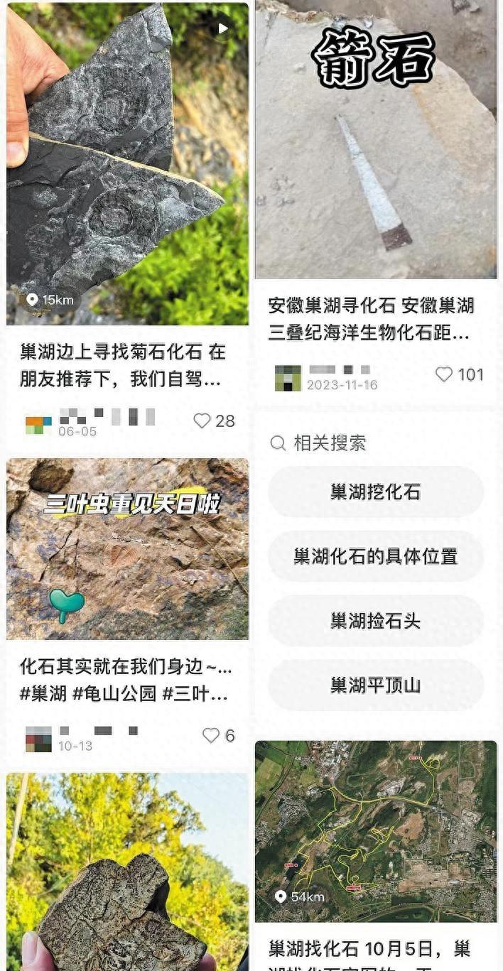 惊！巢湖周边竟能挖到二叠纪化石，你还不来试试？