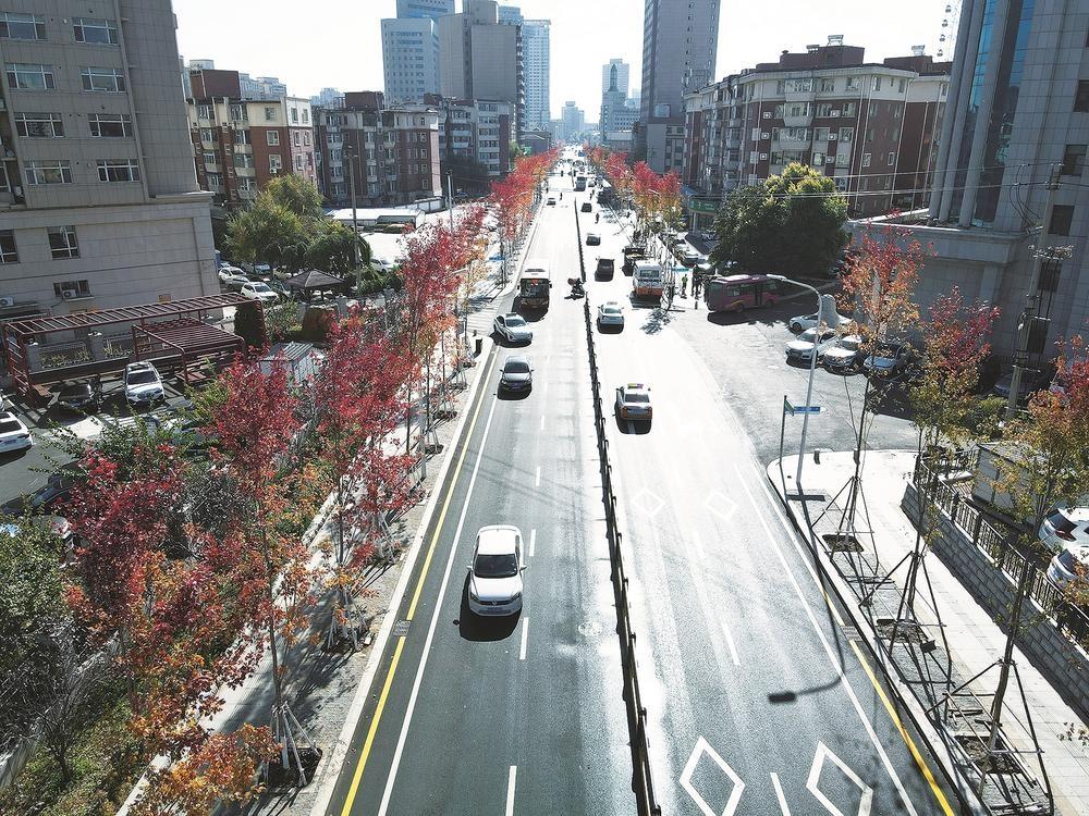 长春宽城区北京大街修缮一新，市民直呼：太幸福了  第2张