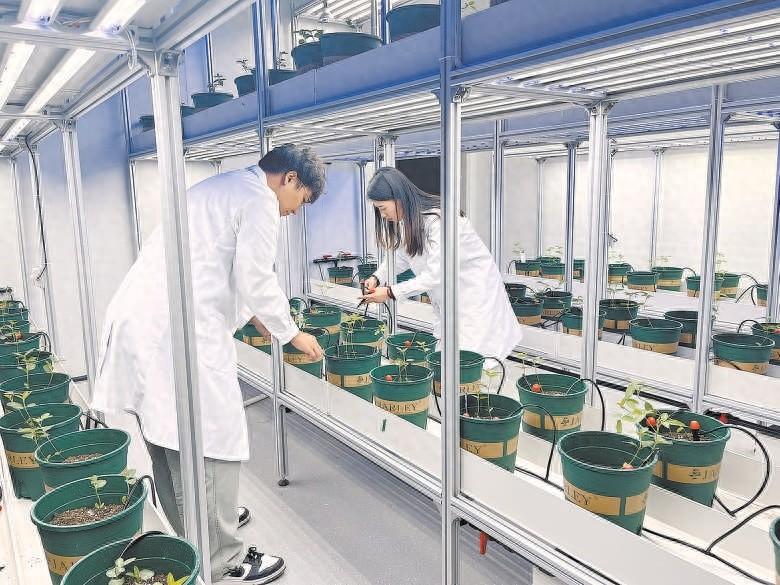 北京通州国际种业科技园区农作物育种加速器投用，缩短育种周期 2 至 3 倍  第1张