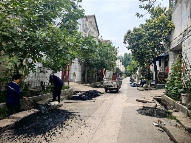 徐州泉山区桃园街道政协工作亮点频出，你知道吗？