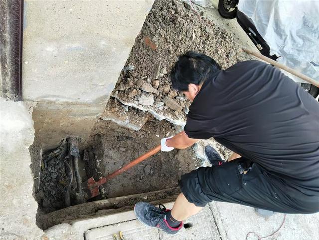 徐州泉山区桃园街道政协工作亮点频出，你知道吗？  第2张