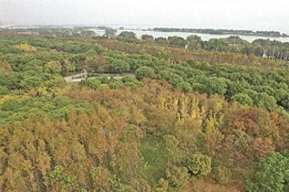 冷空气频繁到访,无锡天气持续上演变脸秀,你准备好了吗? 第1张 冷空气频繁到访,无锡天气持续上演变脸秀,你准备好了吗? 第1张