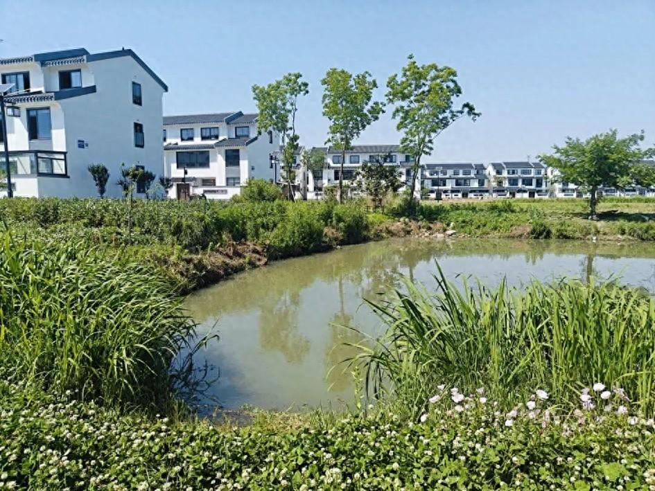 常州经开区横山桥镇梁家桥村：亲水改造绘就江南水乡新画卷  第1张