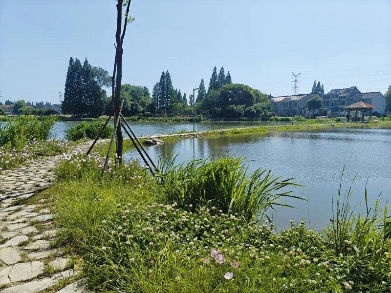 常州经开区横山桥镇梁家桥村：亲水改造绘就江南水乡新画卷  第2张