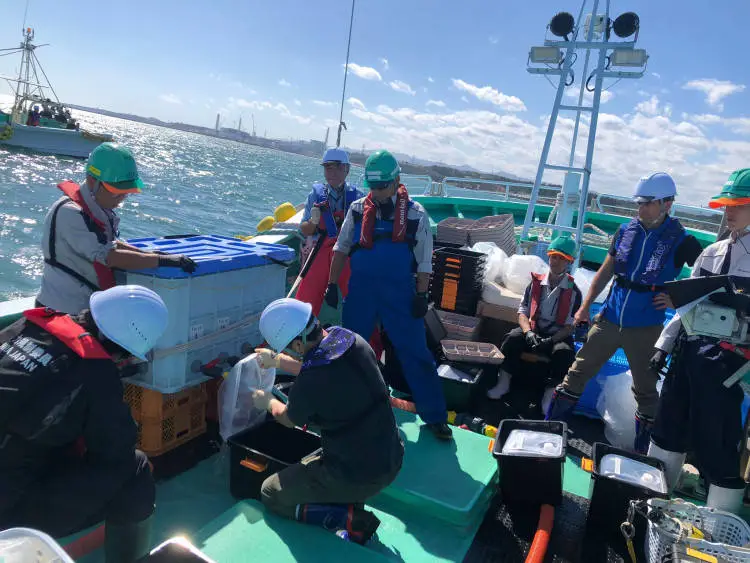 福岛核污染水排海引关注！IAEA 组织多国专家独立采样，中国参与其中
