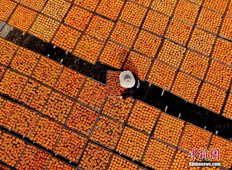 恭城月柿：百年传承，甜蜜满秋  第2张