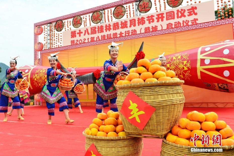 恭城月柿：百年传承，甜蜜满秋  第10张