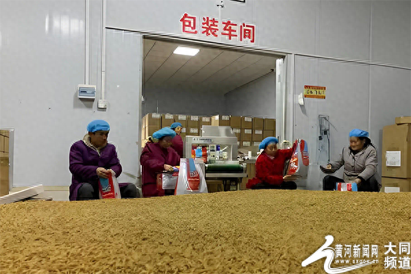 云州现代农业产业示范区产品出口实现零突破！山西鼎欣生物科技有限公司助力