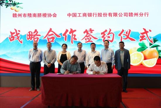 工行江西省分行举办兴农撮合活动，助力柑橘产业发展  第2张